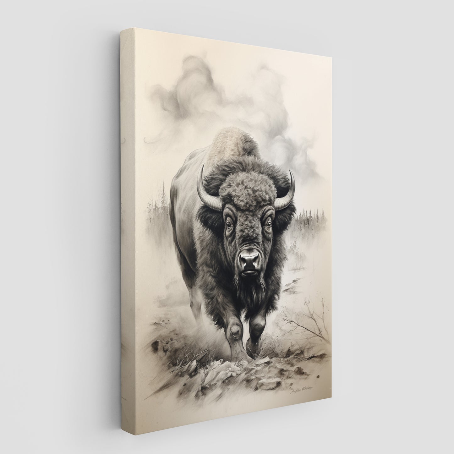 Bison In Hayden Valley