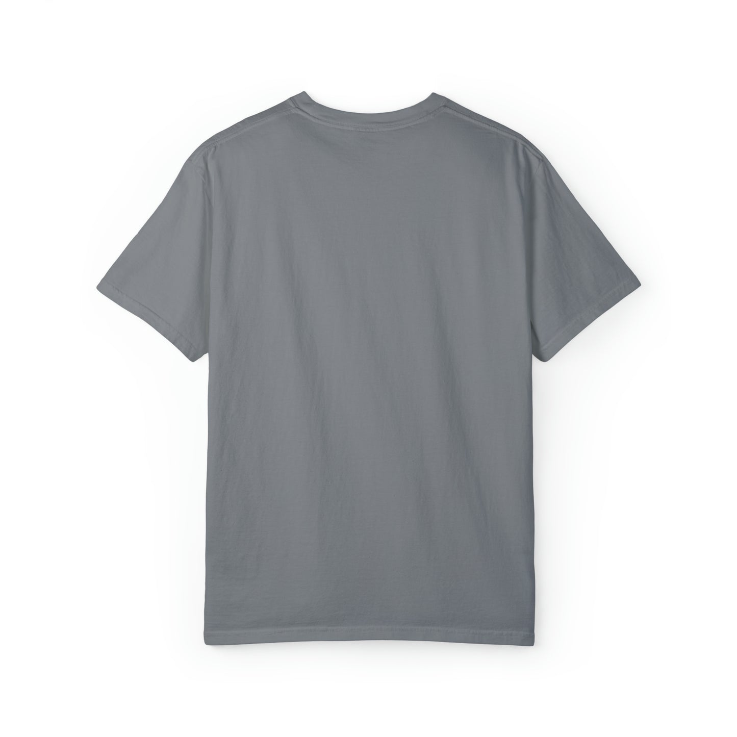 Dream Succed Strive | Unisex Garment-Dyed T-shirt