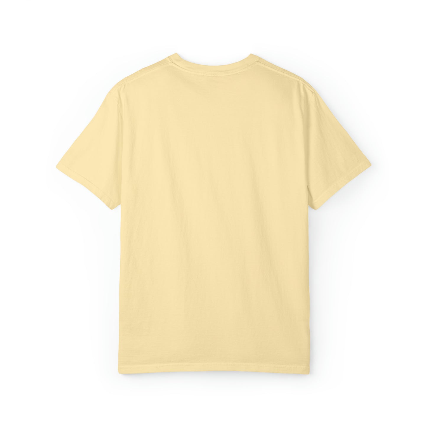 Dream Succed Strive | Unisex Garment-Dyed T-shirt